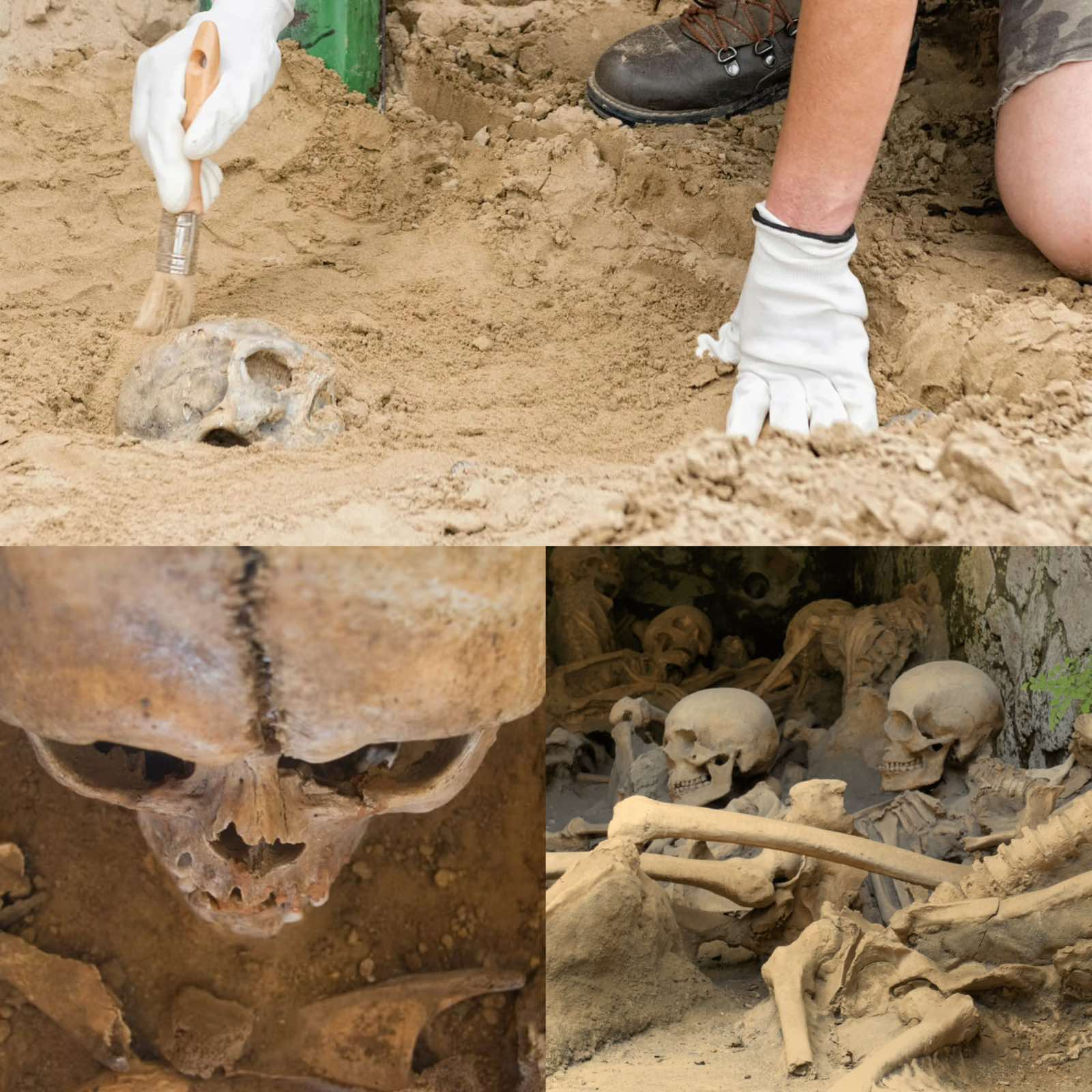 Archaeologists carefully excavate human remains uncovered during a historic burial ground investigation in England.