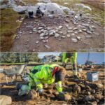Archaeologists excavating a prehistoric site in Norway.